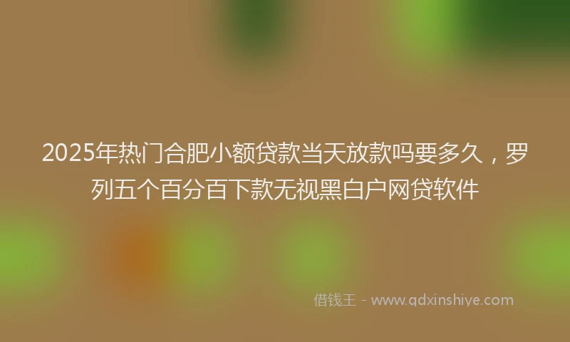 2025年热门合肥小额贷款当天放款吗要多久，罗列五个百分百下款无视黑白户网贷软件