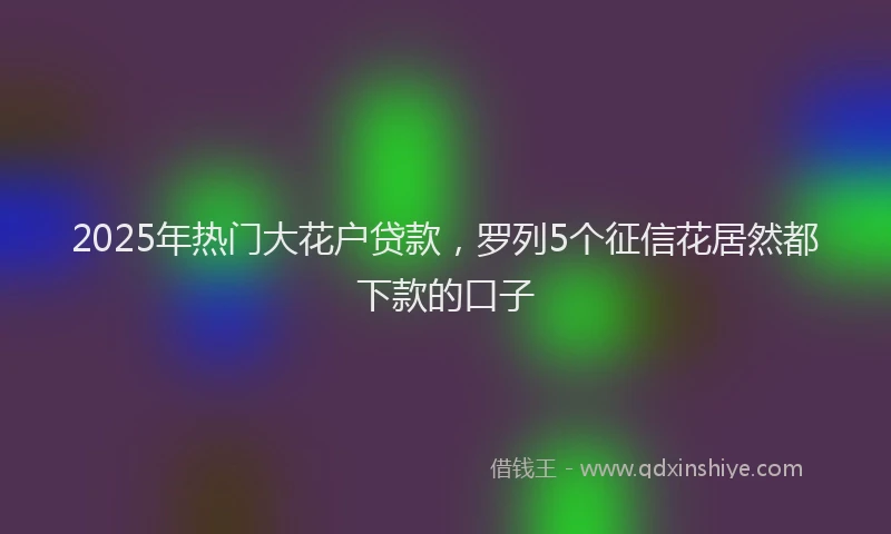 2025年热门大花户贷款，罗列5个征信花居然都下款的口子