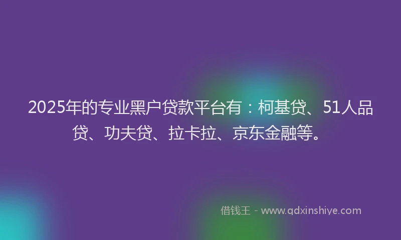 2025年的专业黑户贷款平台有：柯基贷、51人品贷、功夫贷、拉卡拉、京东金融等。