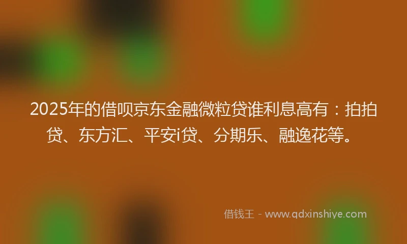 2025年的借呗京东金融微粒贷谁利息高有：拍拍贷、东方汇、平安i贷、分期乐、融逸花等。
