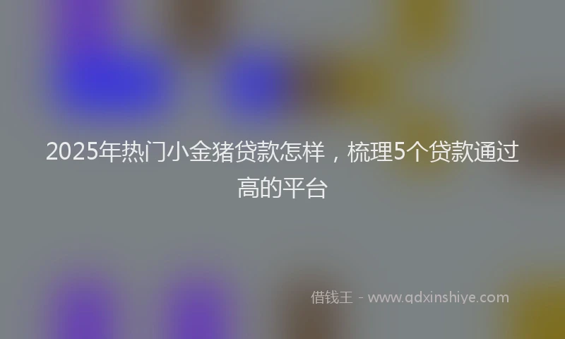 2025年热门小金猪贷款怎样,梳理5个贷款通过高的平台