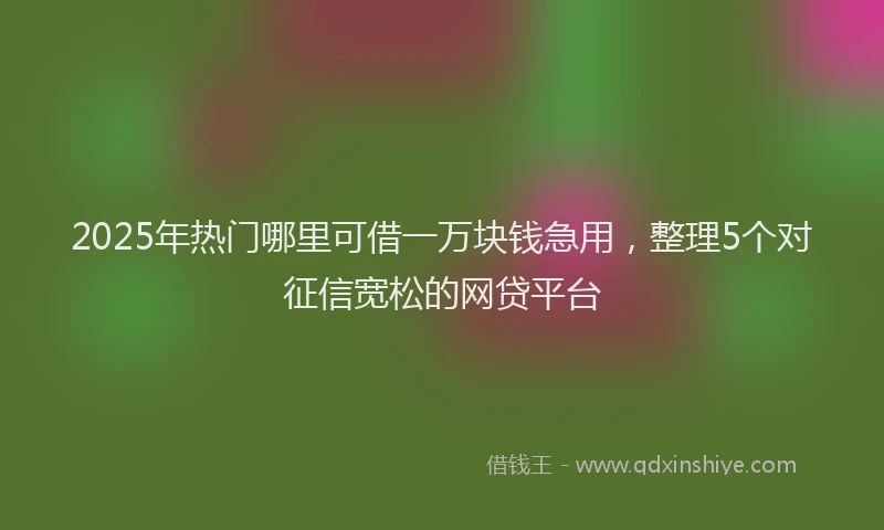 2025年热门哪里可借一万块钱急用，整理5个对征信宽松的网贷平台