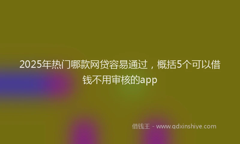 2025年热门哪款网贷容易通过，概括5个可以借钱不用审核的app