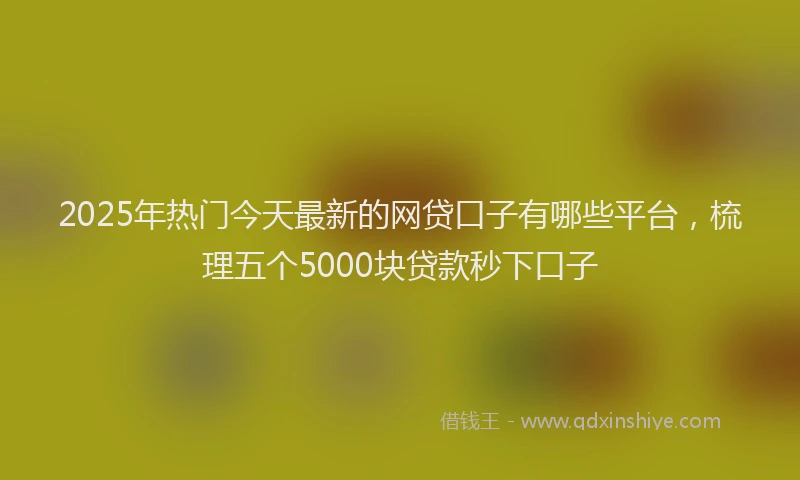 2025年热门今天最新的网贷口子有哪些平台，梳理五个5000块贷款秒下口子