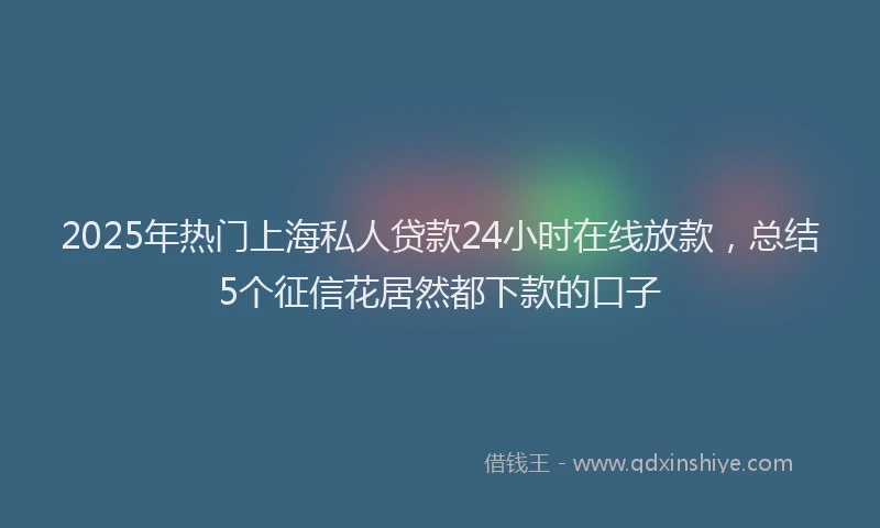 2025年热门上海私人贷款24小时在线放款，总结5个征信花居然都下款的口子
