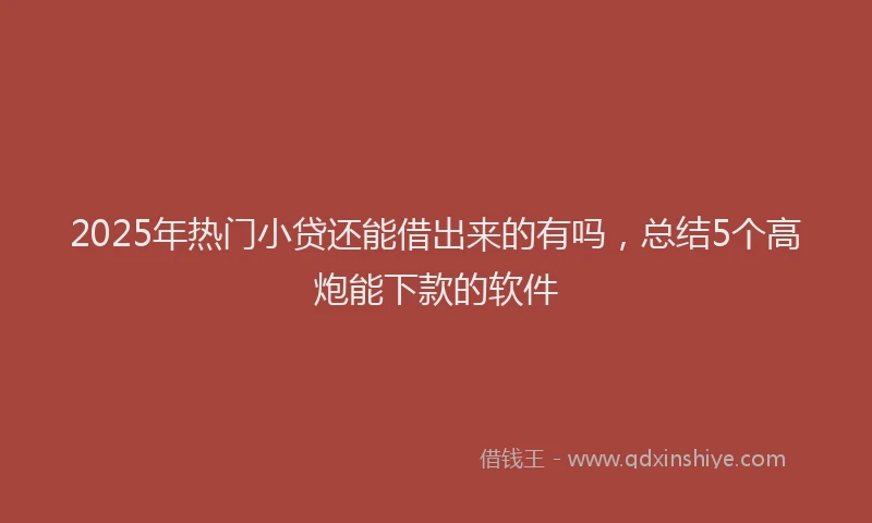 2025年热门小贷还能借出来的有吗，总结5个高炮能下款的软件