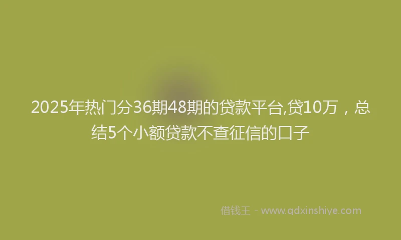 2025年热门分36期48期的贷款平台,贷10万，总结5个小额贷款不查征信的口子
