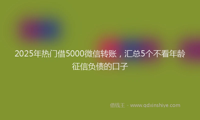 2025年热门借5000微信转账，汇总5个不看年龄征信负债的口子
