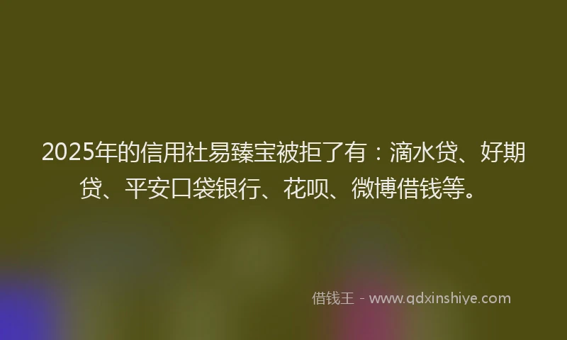 2025年的信用社易臻宝被拒了有：滴水贷、好期贷、平安口袋银行、花呗、微博借钱等。