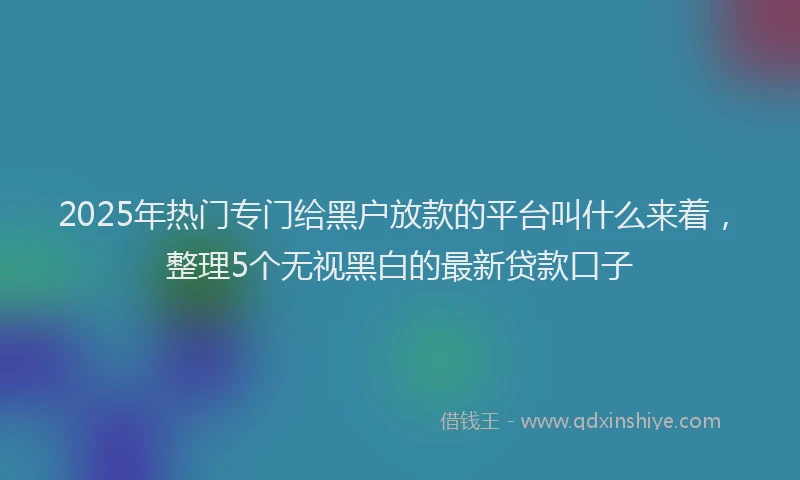 2025年热门专门给黑户放款的平台叫什么来着，整理5个无视黑白的最新贷款口子