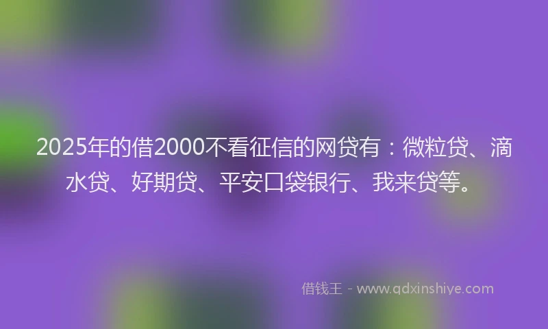 2025年的借2000不看征信的网贷有：微粒贷、滴水贷、好期贷、平安口袋银行、我来贷等。
