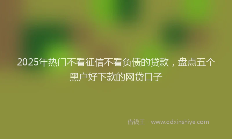 2025年热门不看征信不看负债的贷款，盘点五个黑户好下款的网贷口子