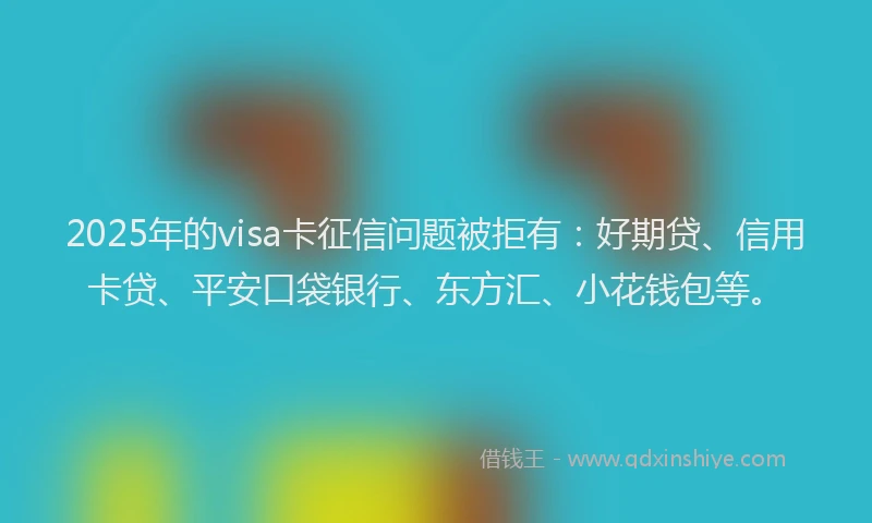 2025年的visa卡征信问题被拒有：好期贷、信用卡贷、平安口袋银行、东方汇、小花钱包等。