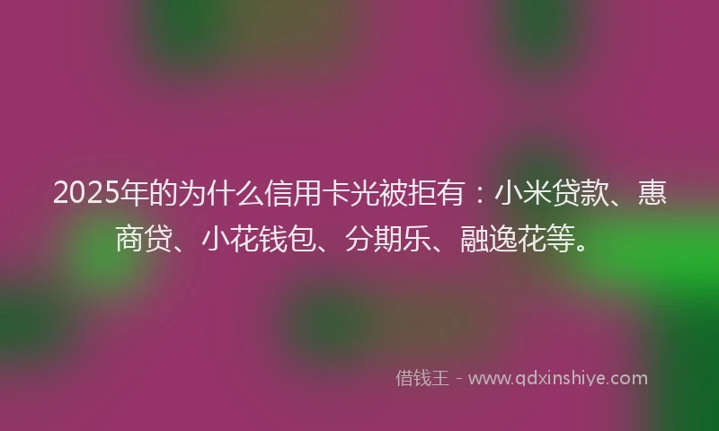 2025年的为什么信用卡光被拒有：小米贷款、惠商贷、小花钱包、分期乐、融逸花等。