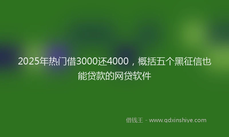 2025年热门借3000还4000，概括五个黑征信也能贷款的网贷软件