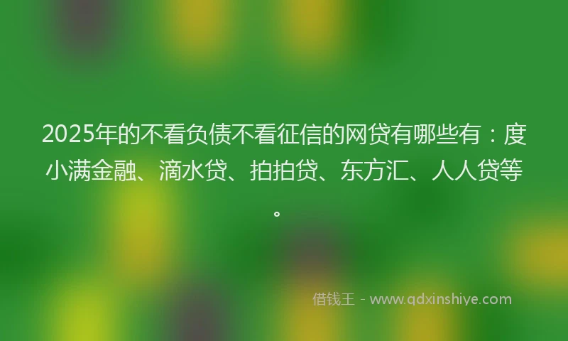 2025年的不看负债不看征信的网贷有哪些有：度小满金融、滴水贷、拍拍贷、东方汇、人人贷等。