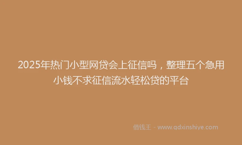2025年热门小型网贷会上征信吗，整理五个急用小钱不求征信流水轻松贷的平台