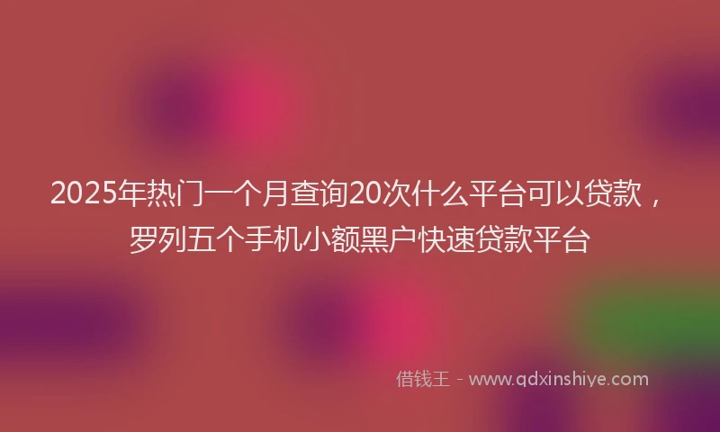 2025年热门一个月查询20次什么平台可以贷款，罗列五个手机小额黑户快速贷款平台