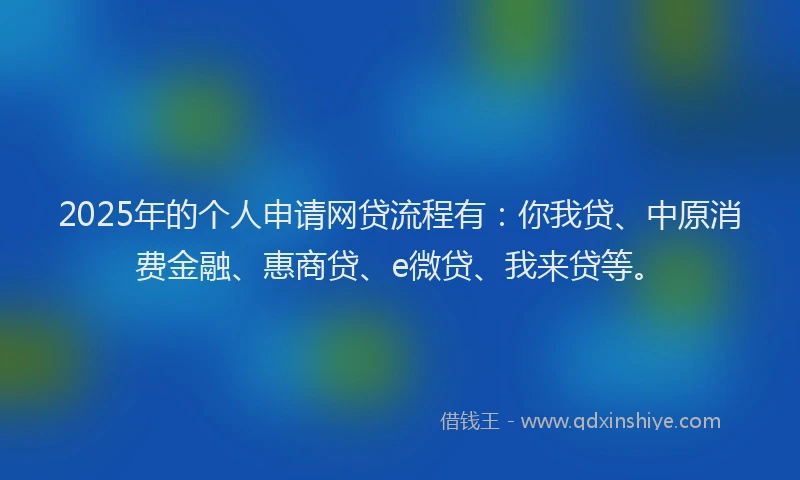 2025年的个人申请网贷流程有：你我贷、中原消费金融、惠商贷、e微贷、我来贷等。