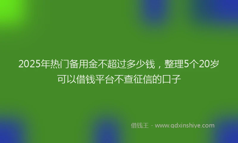 2025年热门备用金不超过多少钱，整理5个20岁可以借钱平台不查征信的口子
