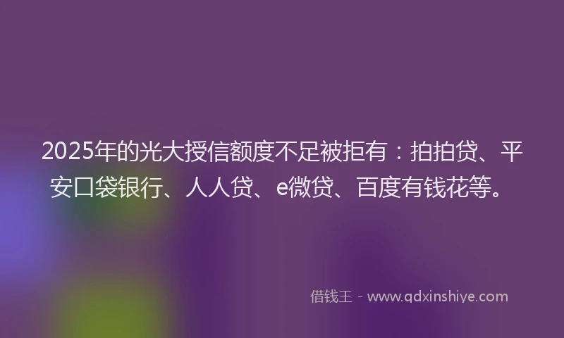 2025年的光大授信额度不足被拒有:拍拍贷、平安口袋银行、人人贷、e微贷、百度有钱花等。