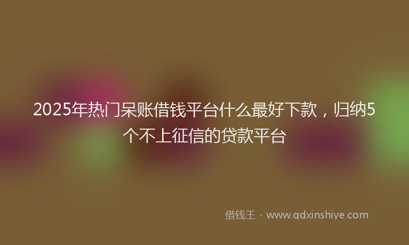 2025年热门呆账借钱平台什么最好下款，归纳5个不上征信的贷款平台