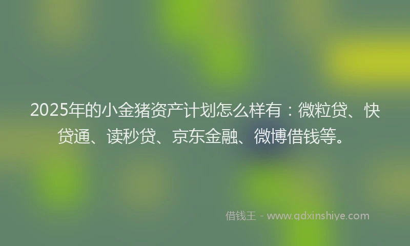 2025年的小金猪资产计划怎么样有：微粒贷、快贷通、读秒贷、京东金融、微博借钱等。