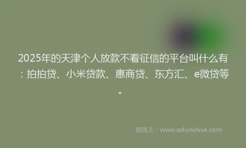 2025年的天津个人放款不看征信的平台叫什么有：拍拍贷、小米贷款、惠商贷、东方汇、e微贷等。