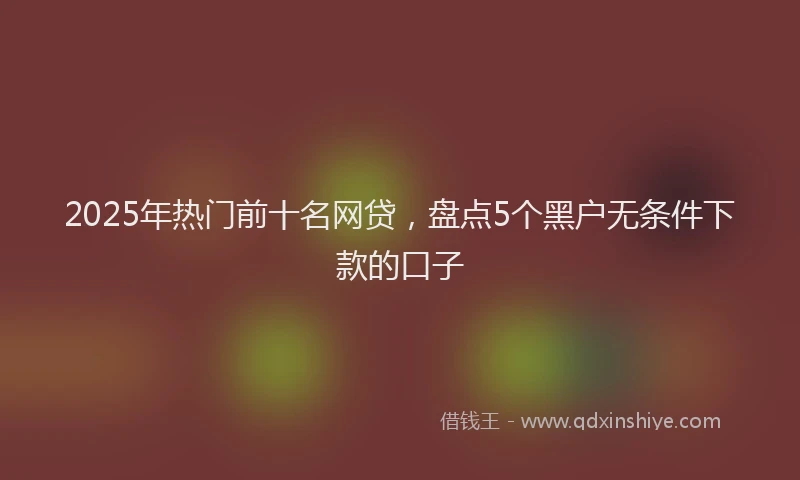 2025年热门前十名网贷，盘点5个黑户无条件下款的口子