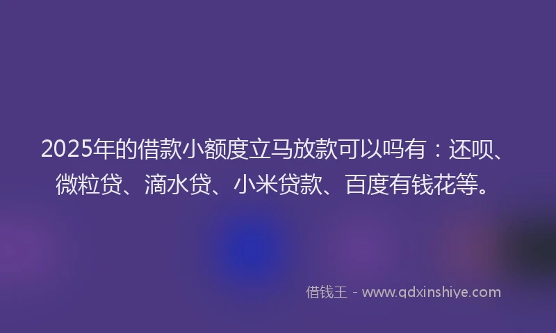 2025年的借款小额度立马放款可以吗有：还呗、微粒贷、滴水贷、小米贷款、百度有钱花等。