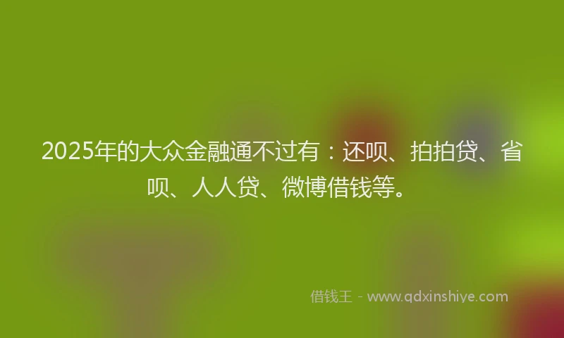 2025年的大众金融通不过有：还呗、拍拍贷、省呗、人人贷、微博借钱等。