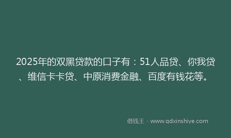 2025年的双黑贷款的口子有：51人品贷、你我贷、维信卡卡贷、中原消费金融、百度有钱花等。