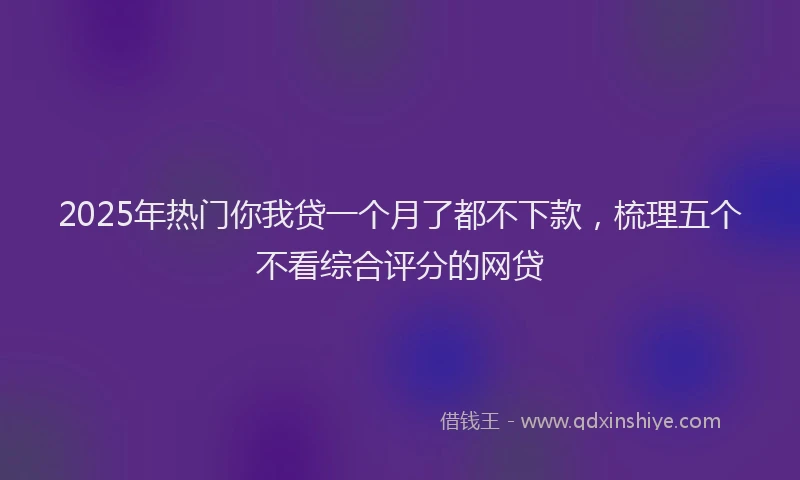 2025年热门你我贷一个月了都不下款，梳理五个不看综合评分的网贷