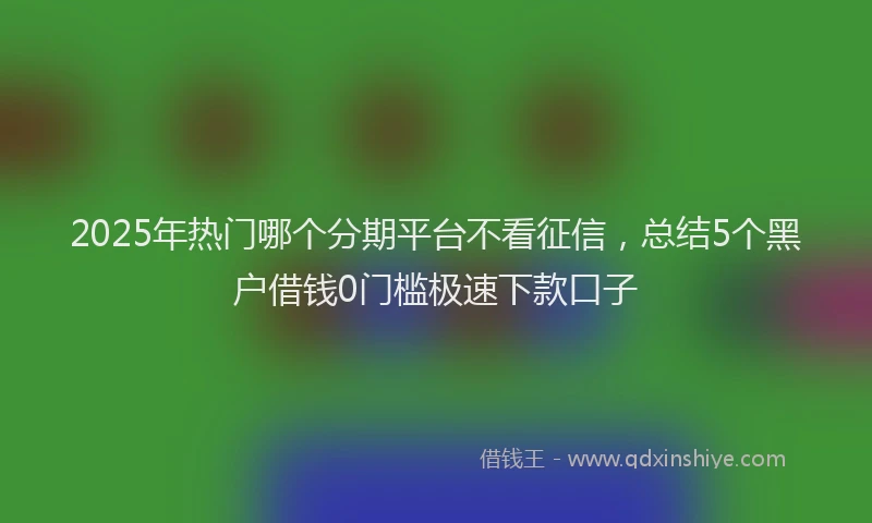2025年热门哪个分期平台不看征信，总结5个黑户借钱0门槛极速下款口子