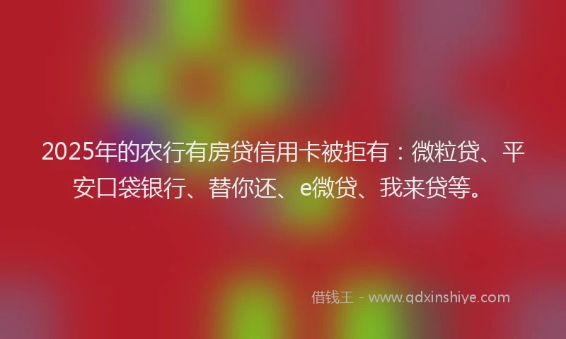 2025年的农行有房贷信用卡被拒有：微粒贷、平安口袋银行、替你还、e微贷、我来贷等。