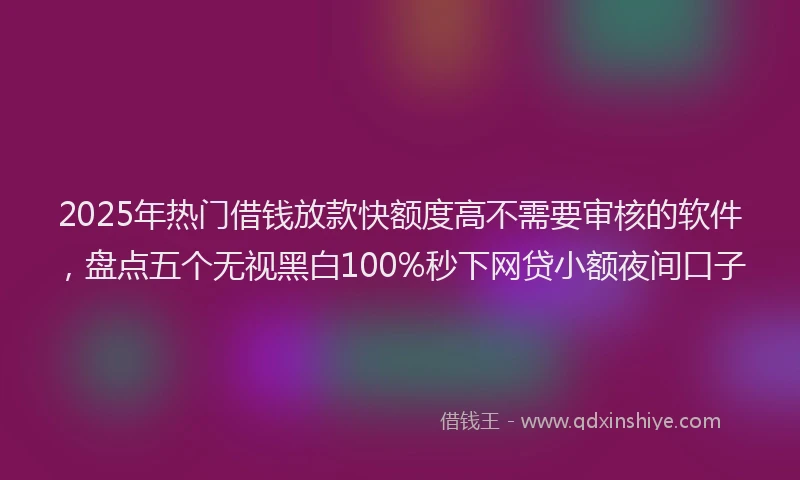 2025年热门借钱放款快额度高不需要审核的软件，盘点五个无视黑白100%秒下网贷小额夜间口子
