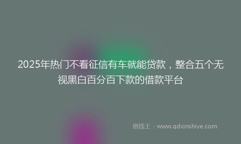 2025年热门不看征信有车就能贷款，整合五个无视黑白百分百下款的借款平台