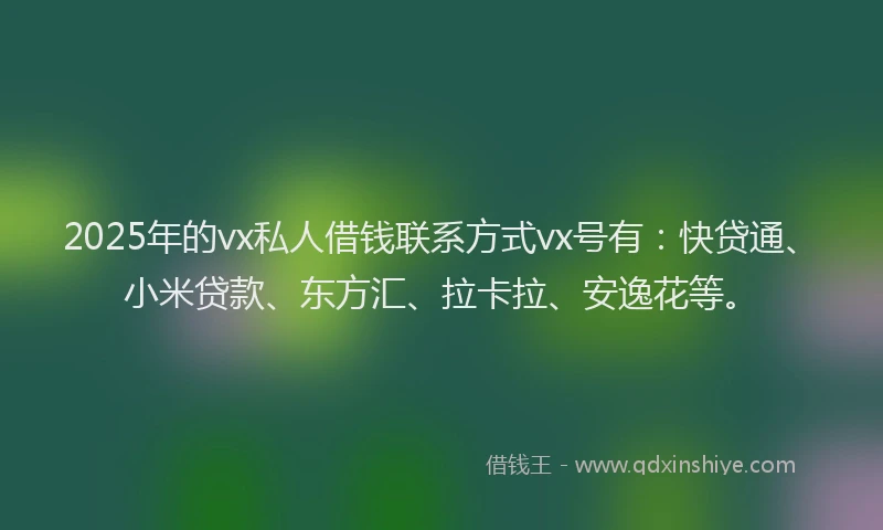 2025年的vx私人借钱联系方式vx号有：快贷通、小米贷款、东方汇、拉卡拉、安逸花等。