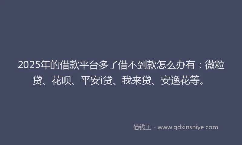 2025年的借款平台多了借不到款怎么办有：微粒贷、花呗、平安i贷、我来贷、安逸花等。