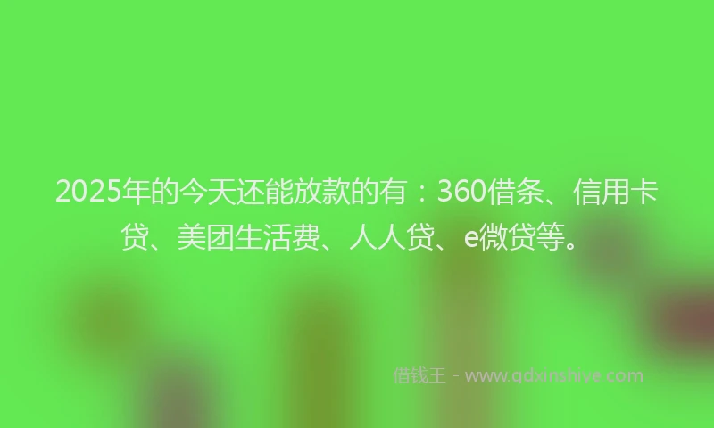2025年的今天还能放款的有：360借条、信用卡贷、美团生活费、人人贷、e微贷等。