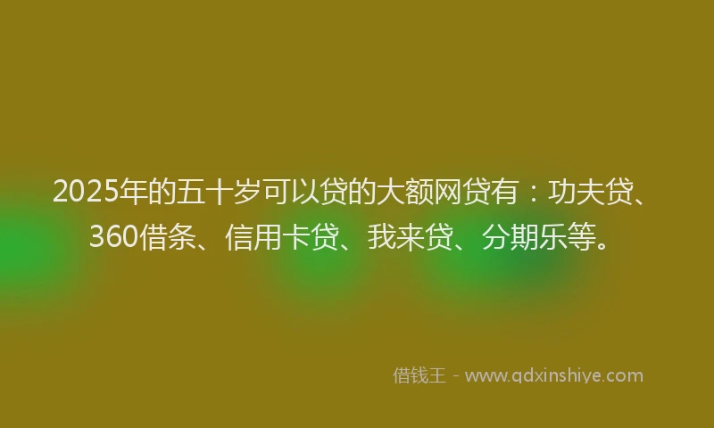 2025年的五十岁可以贷的大额网贷有：功夫贷、360借条、信用卡贷、我来贷、分期乐等。