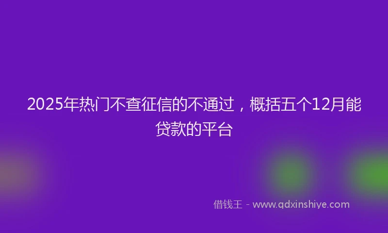 2025年热门不查征信的不通过，概括五个12月能贷款的平台
