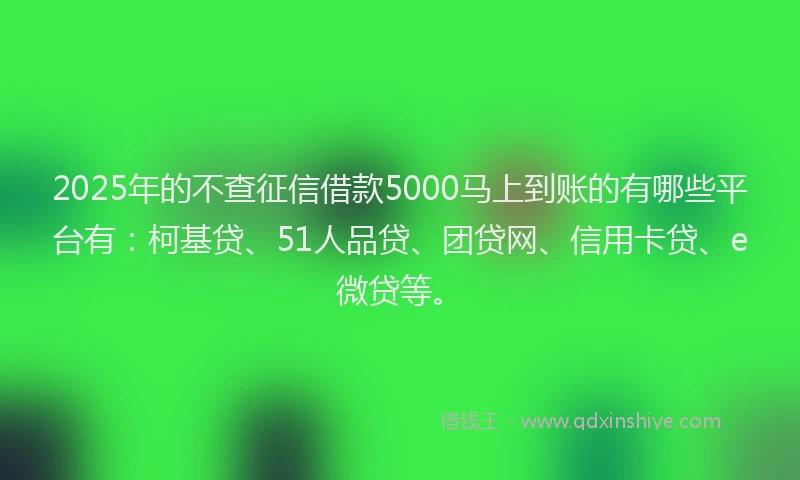 2025年的不查征信借款5000马上到账的有哪些平台有：柯基贷、51人品贷、团贷网、信用卡贷、e微贷等。