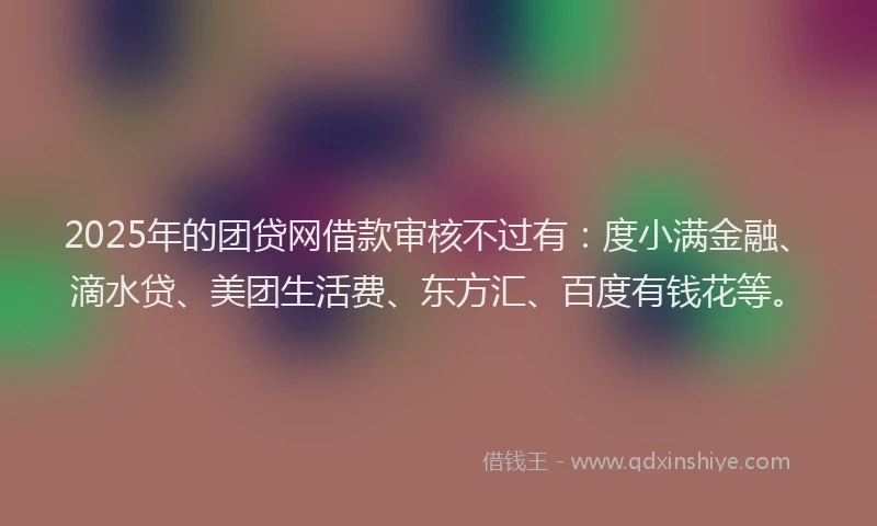 2025年的团贷网借款审核不过有：度小满金融、滴水贷、美团生活费、东方汇、百度有钱花等。