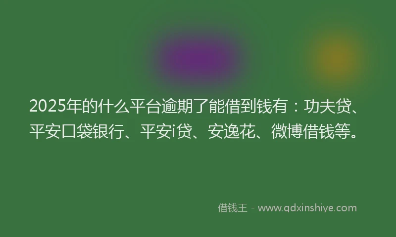 2025年的什么平台逾期了能借到钱有：功夫贷、平安口袋银行、平安i贷、安逸花、微博借钱等。