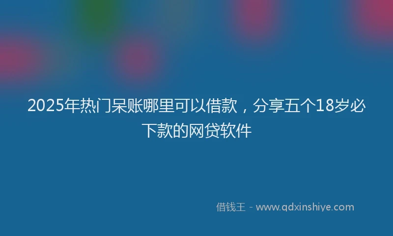 2025年热门呆账哪里可以借款，分享五个18岁必下款的网贷软件