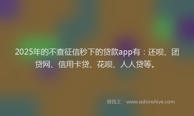 2025年的不查征信秒下的贷款app有：还呗、团贷网、信用卡贷、花呗、人人贷等。