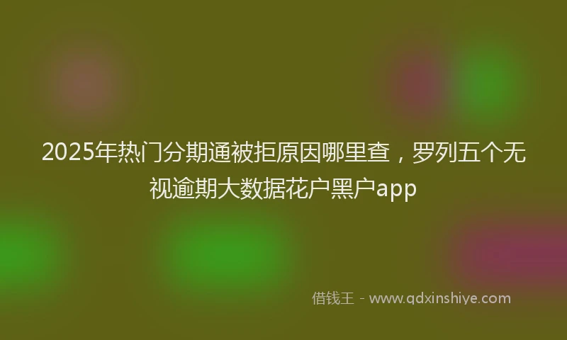 2025年热门分期通被拒原因哪里查，罗列五个无视逾期大数据花户黑户app