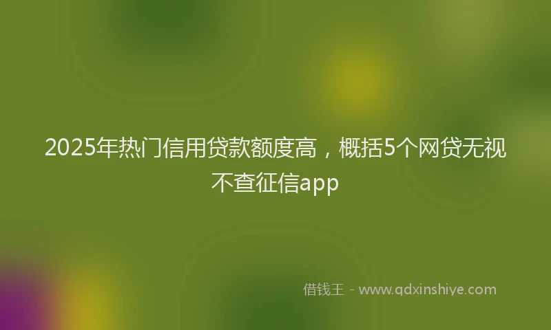 2025年热门信用贷款额度高，概括5个网贷无视不查征信app