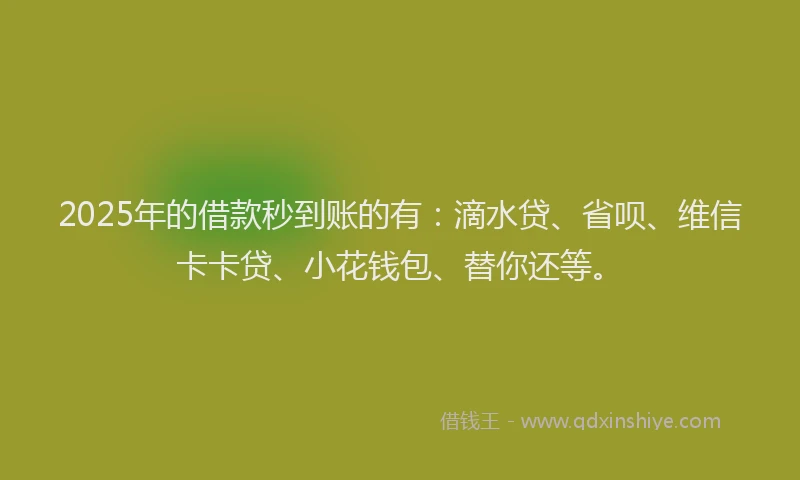 2025年的借款秒到账的有：滴水贷、省呗、维信卡卡贷、小花钱包、替你还等。